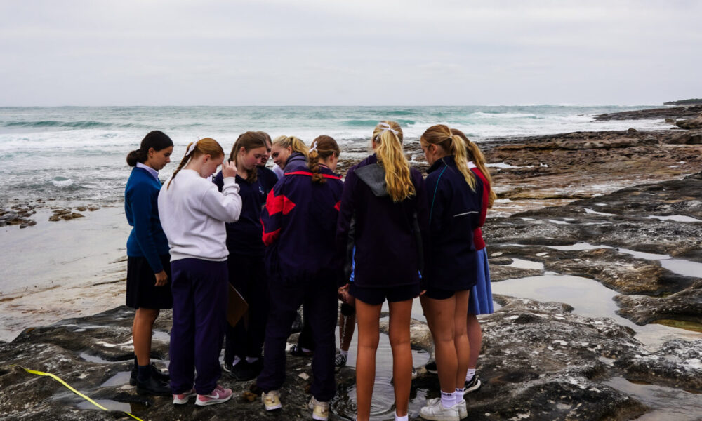 Marine Studies News