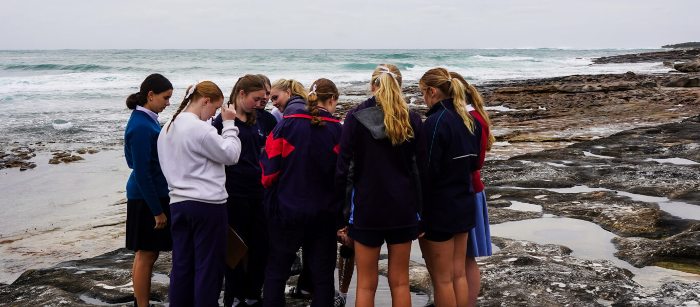 Marine Studies News