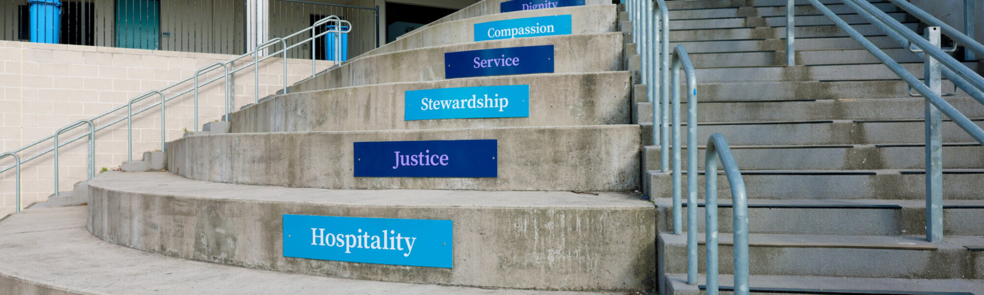 Leader of Pathways and Partnerships – Lisa Formica