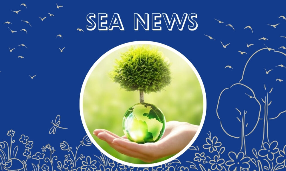 🌍SEA NEWS🌳