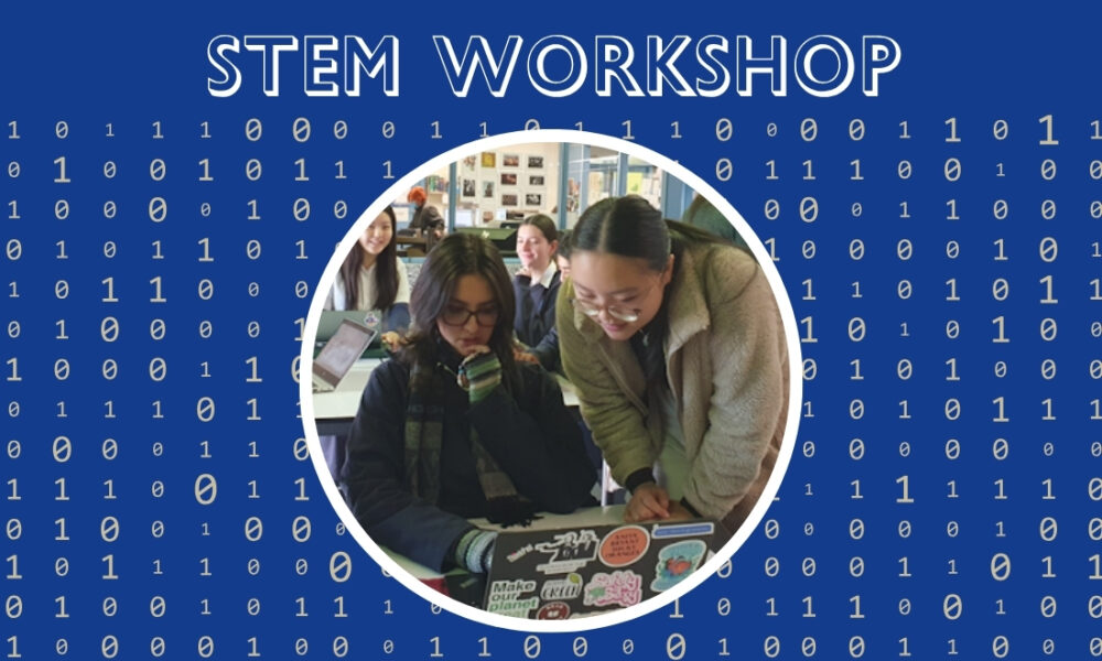 Year 10 STEM Workshop