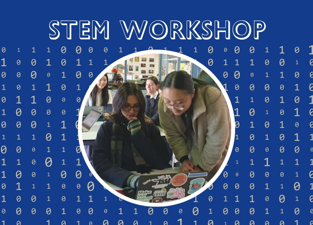 Year 10 STEM Workshop