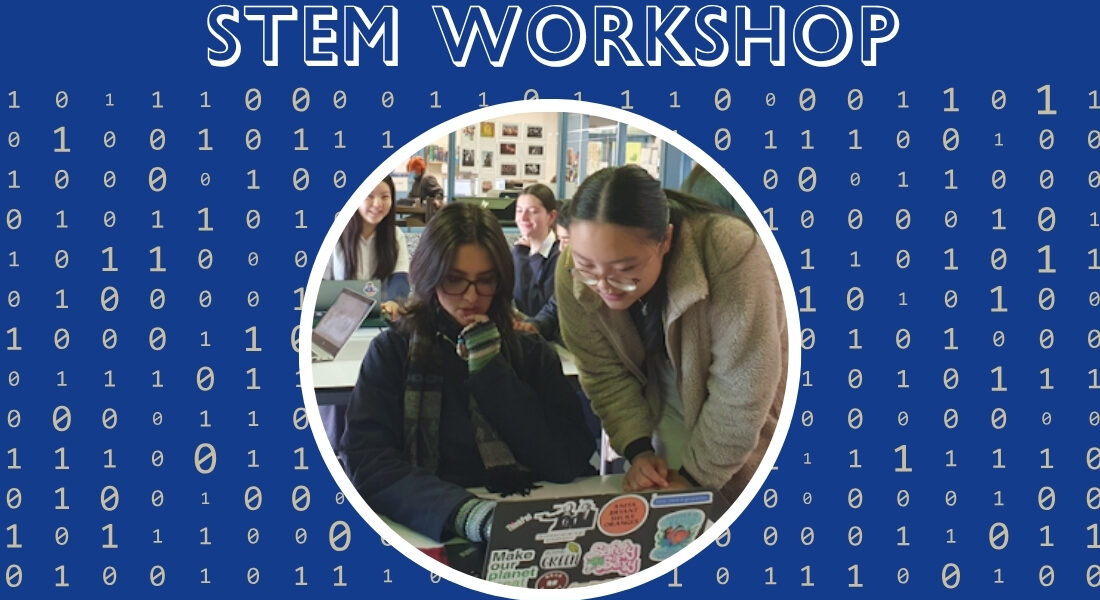 Year 10 STEM Workshop