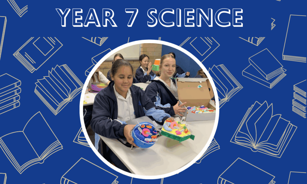 Year 7 Bring Cells to Life!