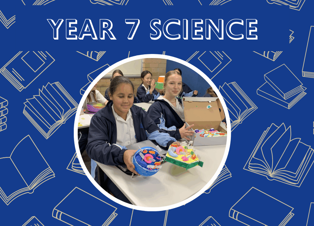 Year 7 Bring Cells to Life!