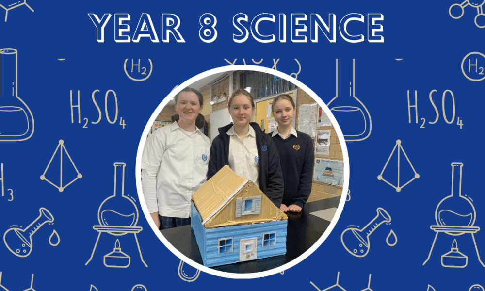 Year 8 Science