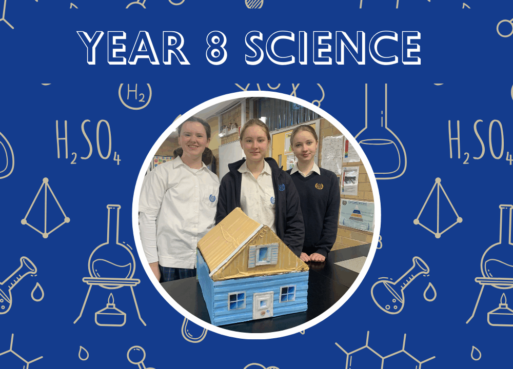 Year 8 Science